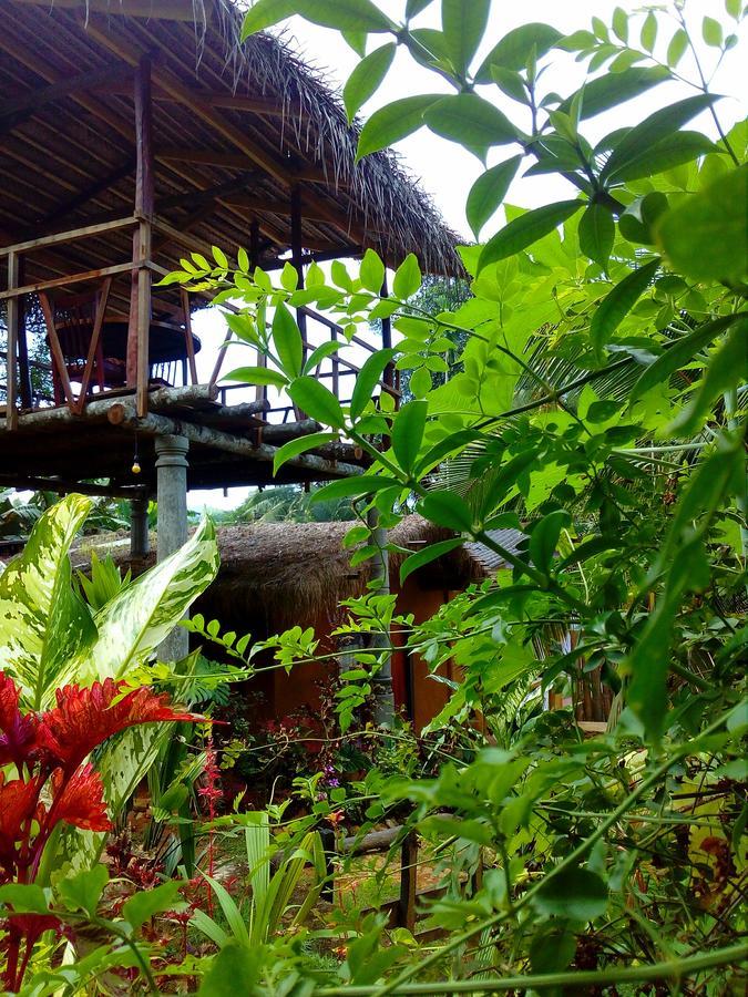 Ancient Gardens Villa Pinnawala  Exterior foto